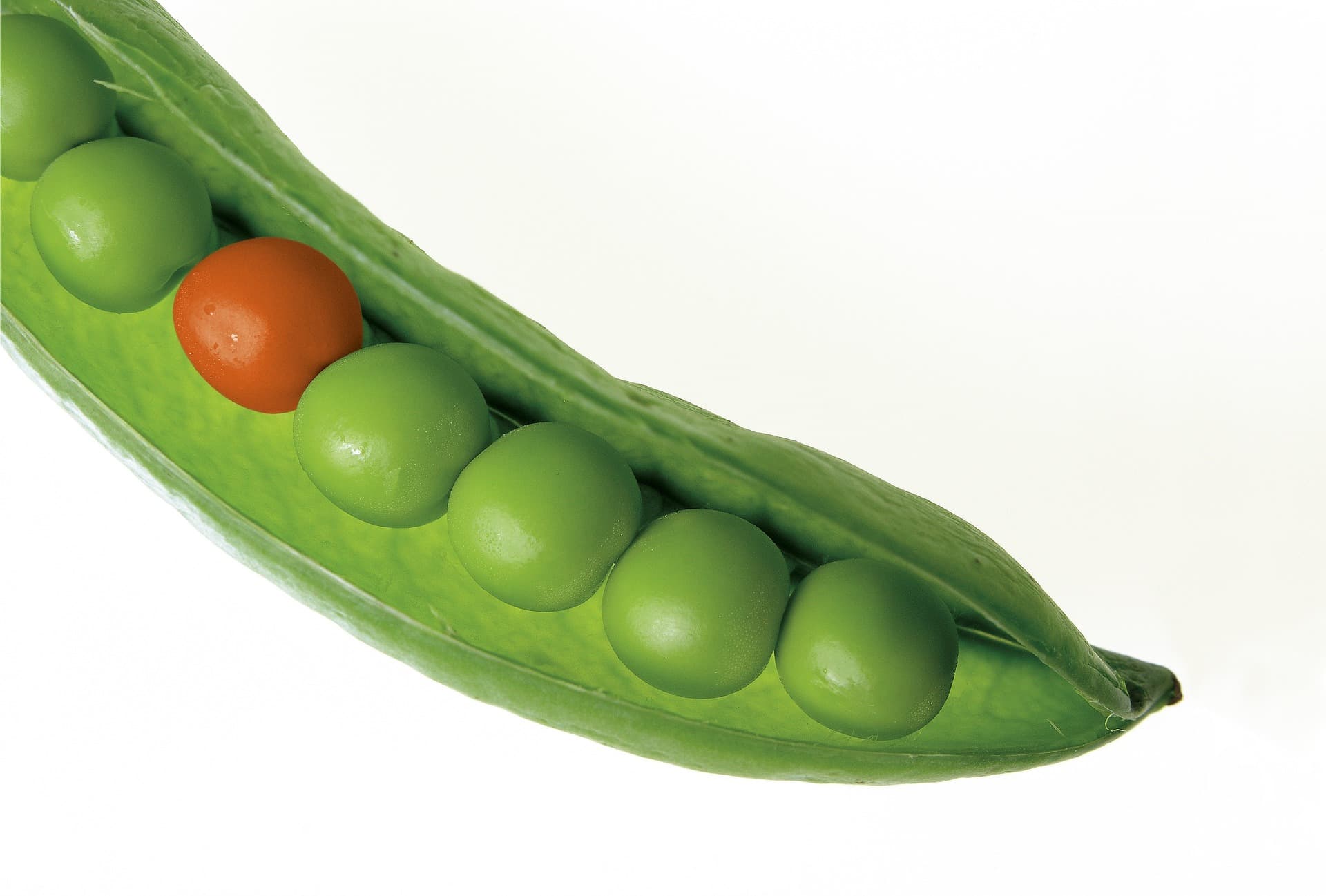 peas-580333_1920 AED